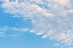 pexels-guzel-sadykova-3331480-33881310